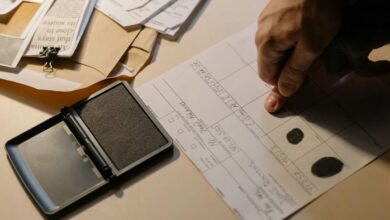 advanced record verification identifiers