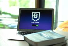 digital system integrity ledger ids