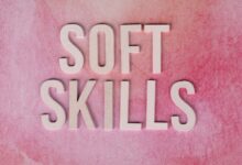 dimrekemesgen skills described