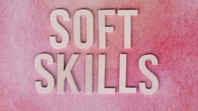 dimrekemesgen skills described