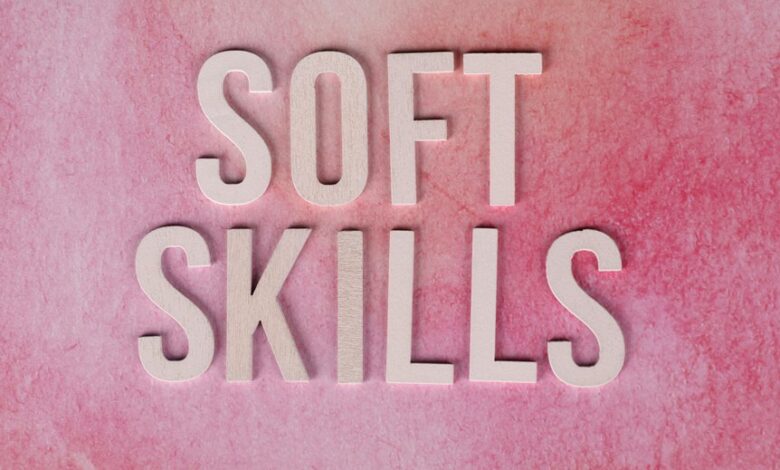 dimrekemesgen skills described