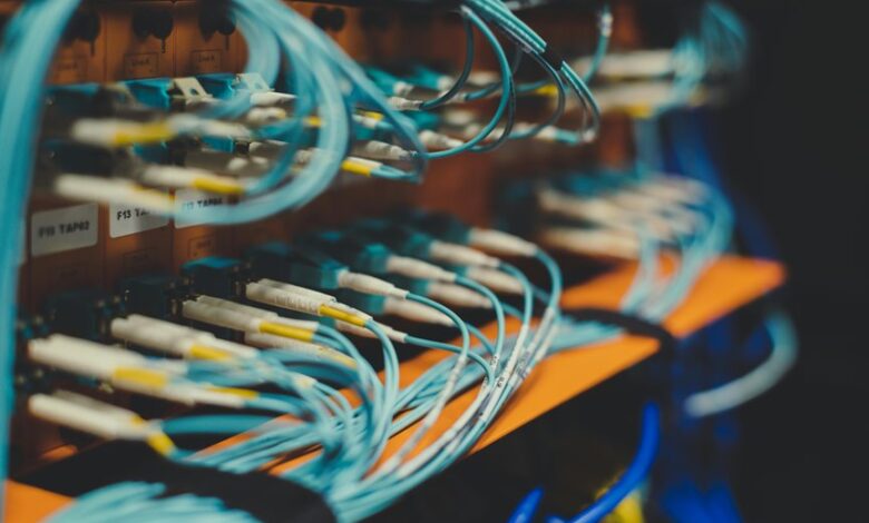enterprise network validation compilation spellings widoor704816 shopnaclo com trylean13 trylean13 com webtosociety com