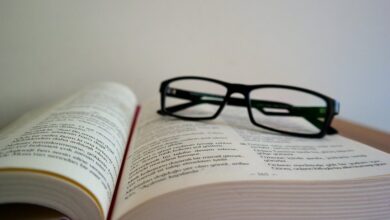 facts about vizahbitarmun four word phrase