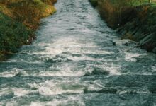 high level data flow verification
