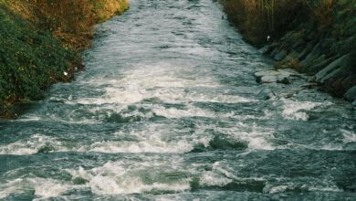 high level data flow verification