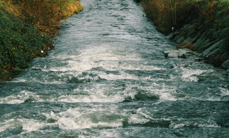high level data flow verification