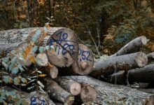 next generation integrity logs