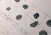 structured digital intelligence record identifiers listed