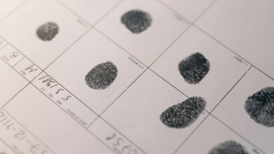 structured digital intelligence record identifiers listed