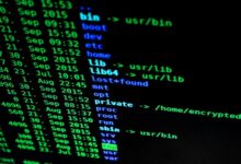 structured network observation file details user handles