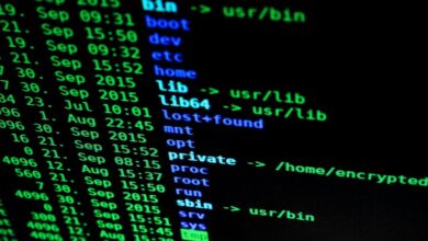 structured network observation file details user handles
