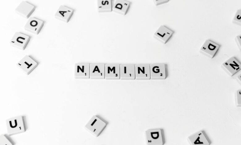 unusual online identity fragments