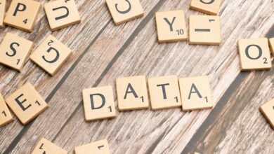 user data verification batch usernames listed
