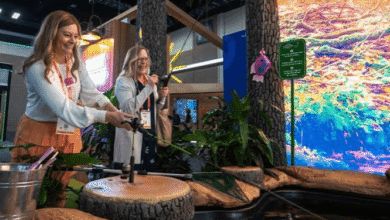 Corporate Activation Entertainment Creating Memorable Brand Experiences Through Interactive Engagement