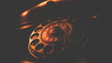 caller phone numbers list summary