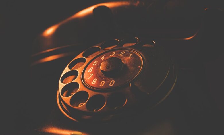 caller phone numbers list summary