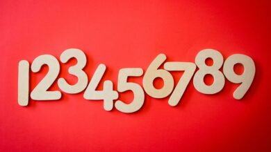 hidden numbers verification sequence details