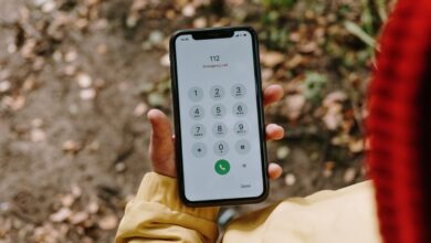 phone verification numbers list