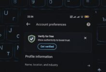phone verification numbers listed